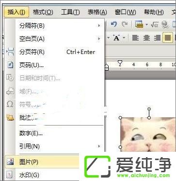 WPS������ô�����Զ���ģ����WPS�����Զ���ģ��ķ���