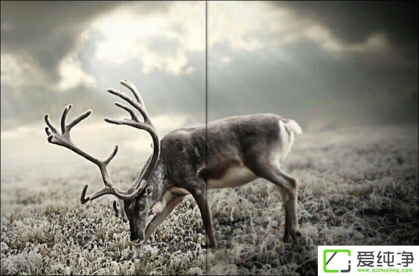 ps��ô��ͼƬ���������ʸ�