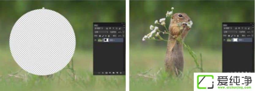 PS�ɰ����������Щ��PS�ɰ����;����