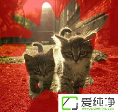 PS�ɰ����������Щ��PS�ɰ����;����