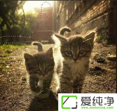 PS�ɰ����������Щ��PS�ɰ����;����