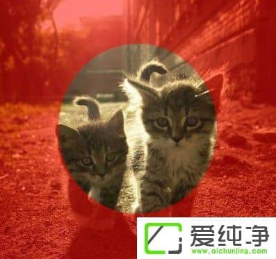 PS�ɰ����������Щ��PS�ɰ����;����