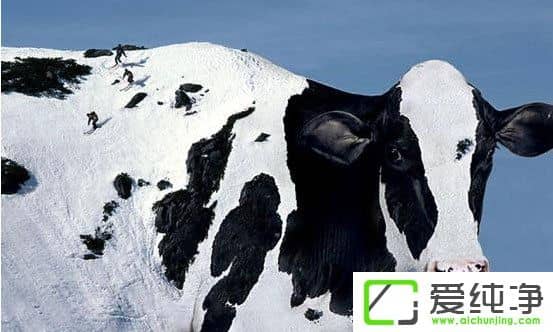 PS�ɰ����������Щ��PS�ɰ����;����