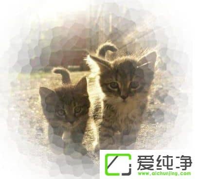 PS�ɰ����������Щ��PS�ɰ����;����