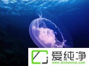 PS�ɰ����������Щ��PS�ɰ����;����