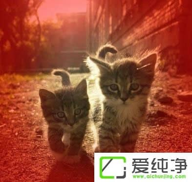 PS�ɰ����������Щ��PS�ɰ����;����