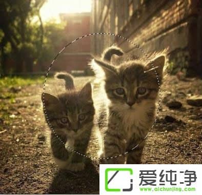 PS�ɰ����������Щ��PS�ɰ����;����