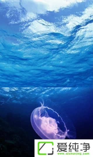 PS�ɰ����������Щ��PS�ɰ����;����