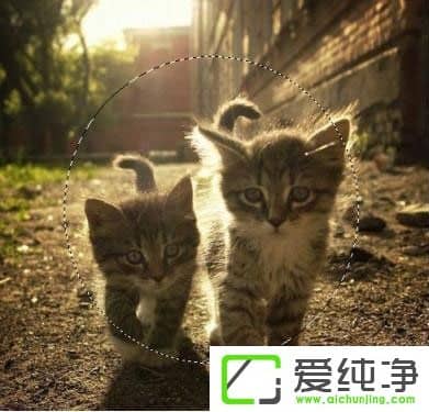 PS�ɰ����������Щ��PS�ɰ����;����