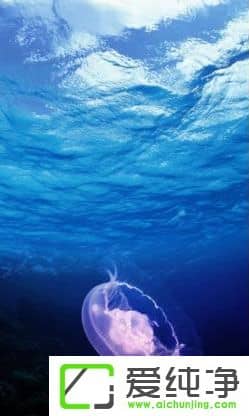 PS�ɰ����������Щ��PS�ɰ����;����