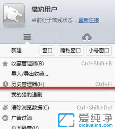 Win10系统下猎豹浏览器的历史记录在哪里