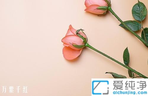 ����xp����ô�û�ͼɾ��ͼƬˮӡ_xpȥ��ͼƬˮӡ���������ʹ�ý̳�