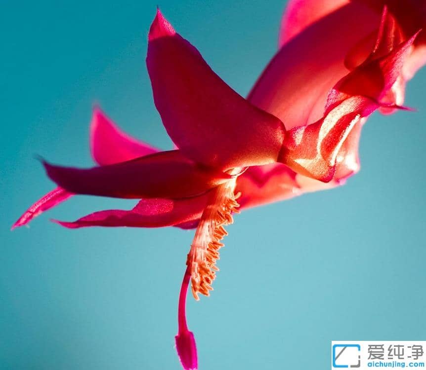 win10������������ô����_win10��������������̳�