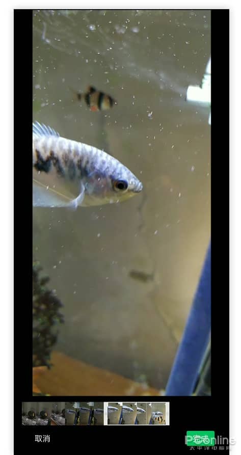 ΢���°淢��������N��Ĺ���������