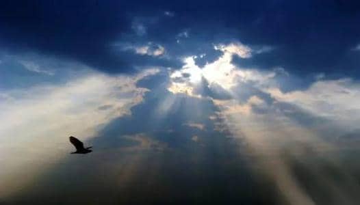 ����ׯ԰С����5.17�������´�