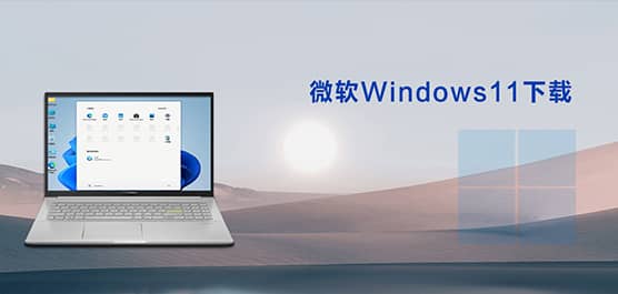 ΢����ϵͳWin11����