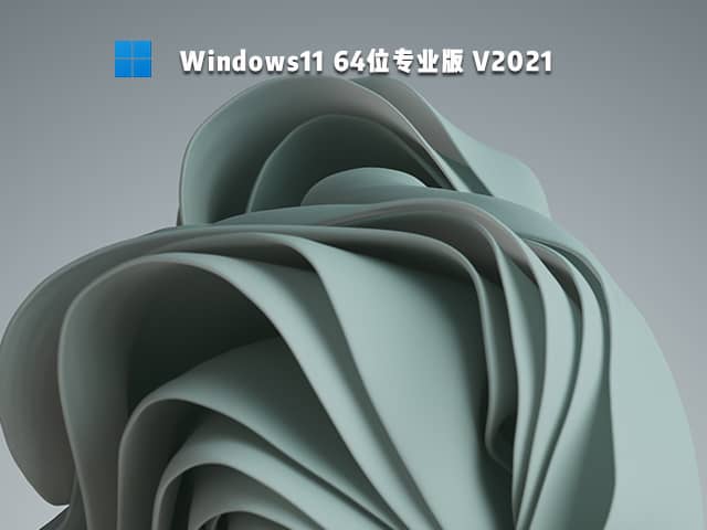 Windows11 64λרҵ��ϵͳ