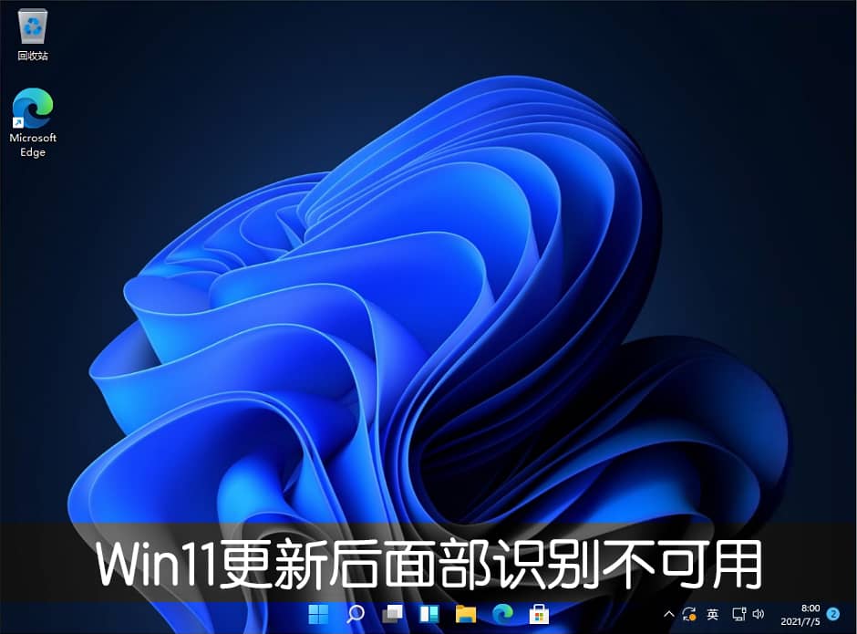 Win11ϵͳ����22000.100���沿ʶ�𲻿�����ô�죿