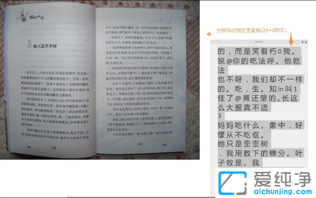 win10����������OneNote��ͼƬ����ı�