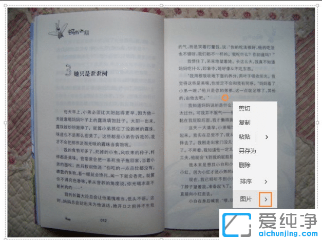 win10����������OneNote��ͼƬ����ı�