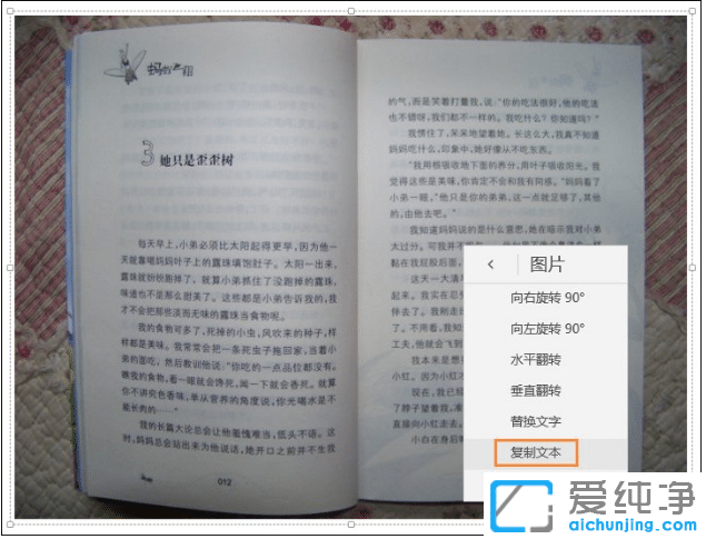 win10����������OneNote��ͼƬ����ı�