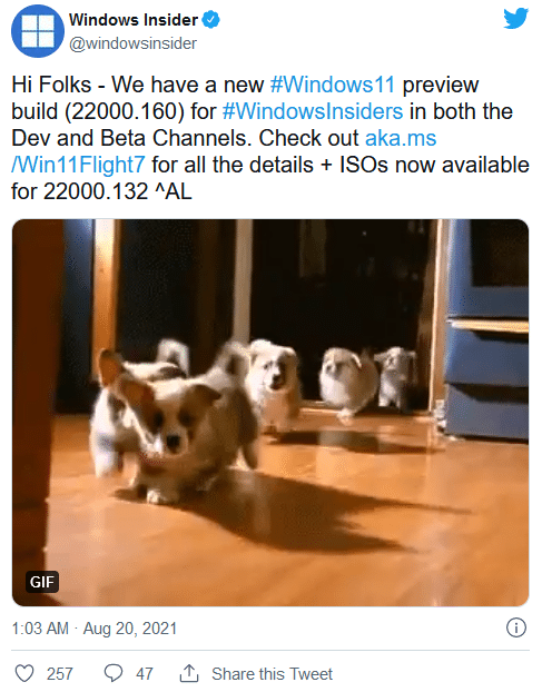 ��ȶ�ʱ���׸�Windows 11 ISO���񷢲���