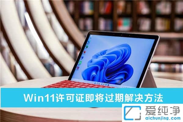 win11����֤����������ô�����