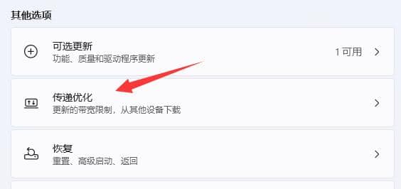 win11电脑下载速度达不到宽带速度