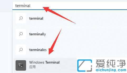 Win11ϵͳ��ʾ�Ҳ���wt.exe��ʾ��ô���