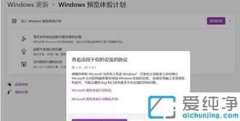 ÈçºÎ¼ÓÈëwin11Ô¤ÀÀÌåÑ鼯»®