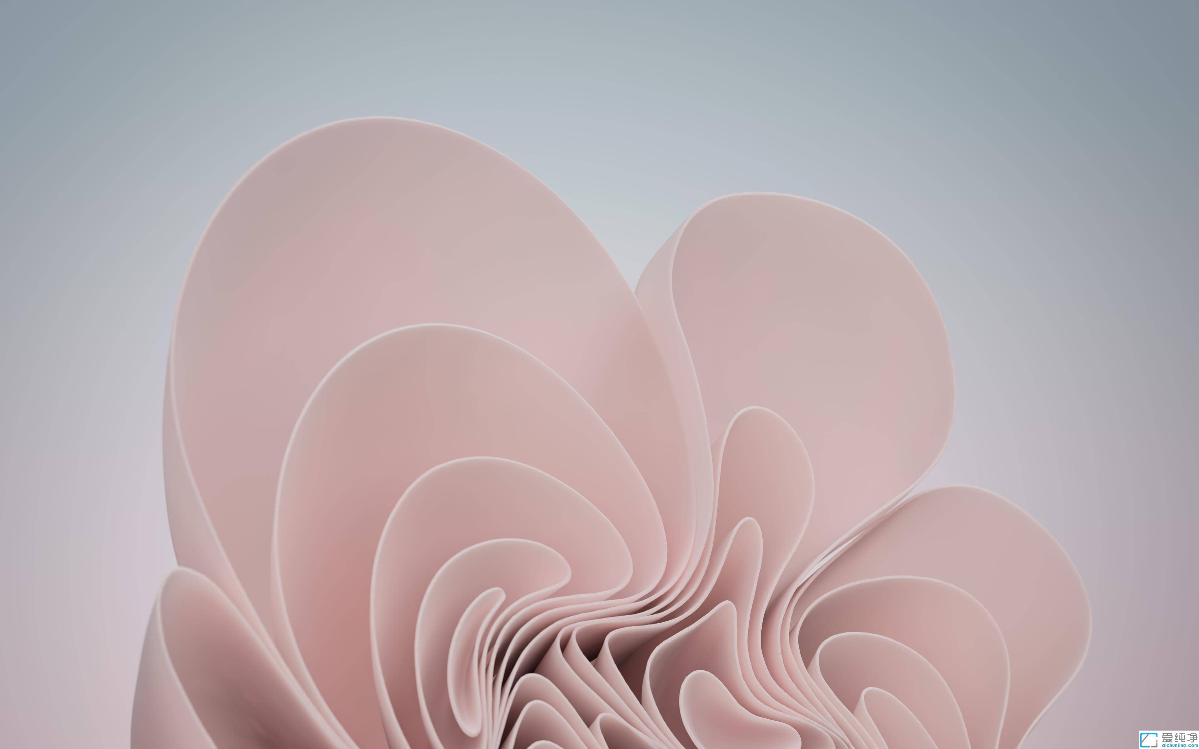 win11�ĸ��汾��ϵͳ���