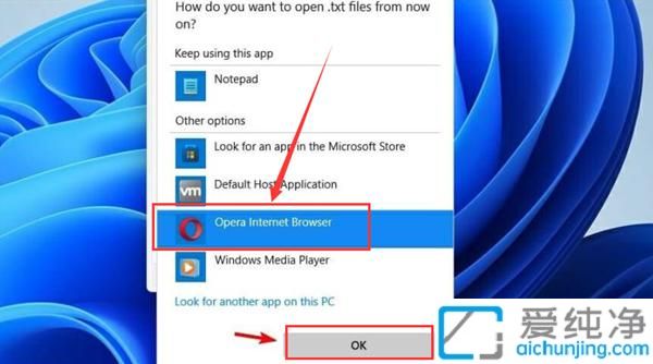 win11Ôõô¸Ä±äÎļþĬÈÏ´ò¿ª·½Ê½_win11ÈçºÎÐÞ¸ÄÎļþĬÈÏ´ò¿ª·½Ê½