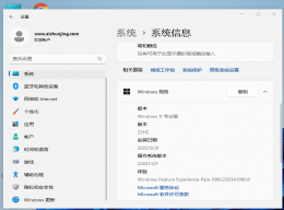 win11����Ϊ�μ�ⲻ��_win11������û��22H2