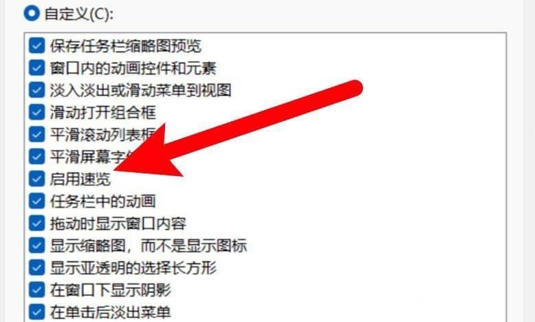 win11系统怎么开启速览功能_Win11开启速览功能的方法
