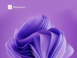 Win11רҵ��64λϵͳ����_����win11רҵ�����ص�ַ