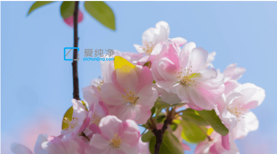 Win11�����Կ����¹��ܣ�ͨ��AI�������ֽ�Զ����Ͼ���Ч��