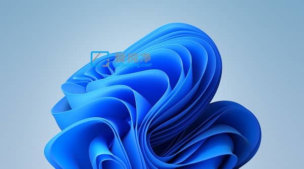 Win11��ҵ���רҵ����ʲô����-Win11��ҵ��û���רҵ���