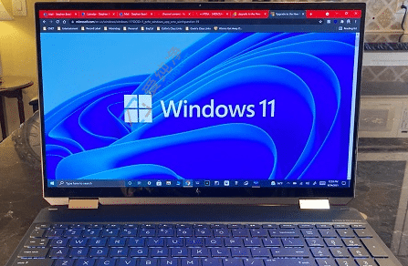 win11pro��ʲô�汾-win11pro�汾����