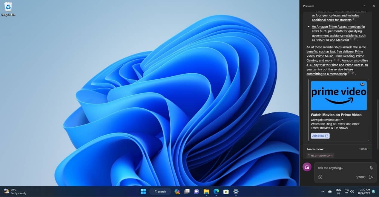 Windows 11 Copilot Ͷ�Ź����Ŀǰû�н���ѡ��