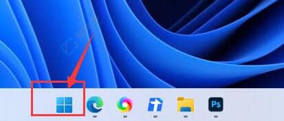 win11搜索栏如何使用-win11系统搜索栏使用教程