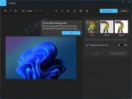 Win11���á���Ƭ��Ӧ�ý�ӭ��һ����ͼ���滻�������¹���