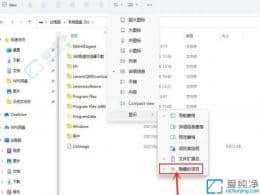 win11��β鿴�����ļ���-�����ص��ļ���ô��ʾ����