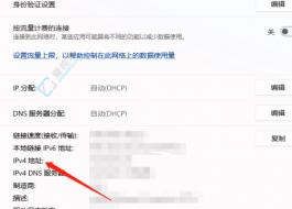 快速掌握Win11查看IP地址的两种简单方法:让网络配置变得轻而易举