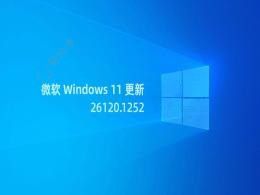 Win11�û�������������Dev���´���BUG�����ؿ� 8%��CPU ռ�� 100%�����Կ��ٵ�
