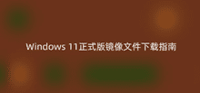 Windows11��ʽ�澵���ļ�����ָ��