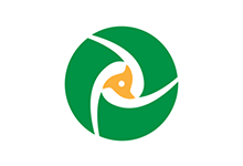 PDF Split and Merge Basic Edition v5.4.1 PDF�ָ�ϲ�